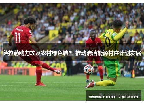 萨拉赫助力埃及农村绿色转型 推动清洁能源村庄计划发展