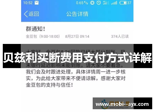 贝兹利买断费用支付方式详解