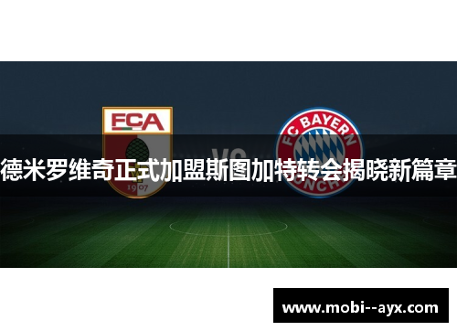 德米罗维奇正式加盟斯图加特转会揭晓新篇章