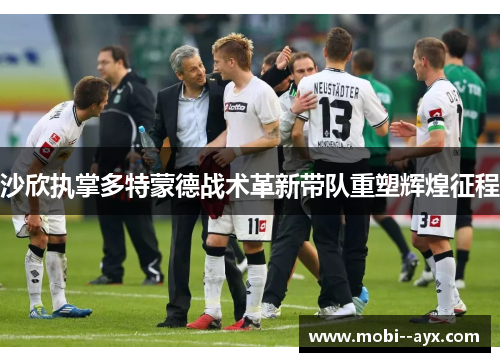 沙欣执掌多特蒙德战术革新带队重塑辉煌征程