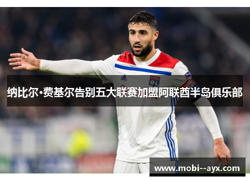 纳比尔·费基尔告别五大联赛加盟阿联酋半岛俱乐部