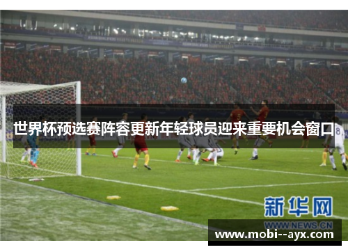 世界杯预选赛阵容更新年轻球员迎来重要机会窗口